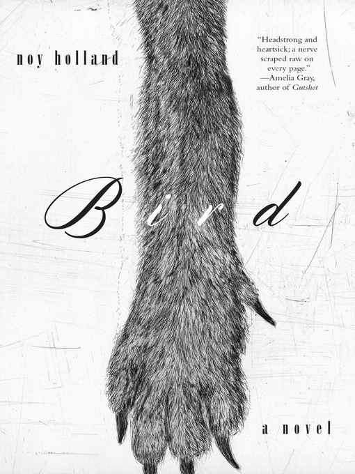 Title details for Bird by Noy Holland - Available